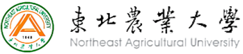 企业通用模版网站